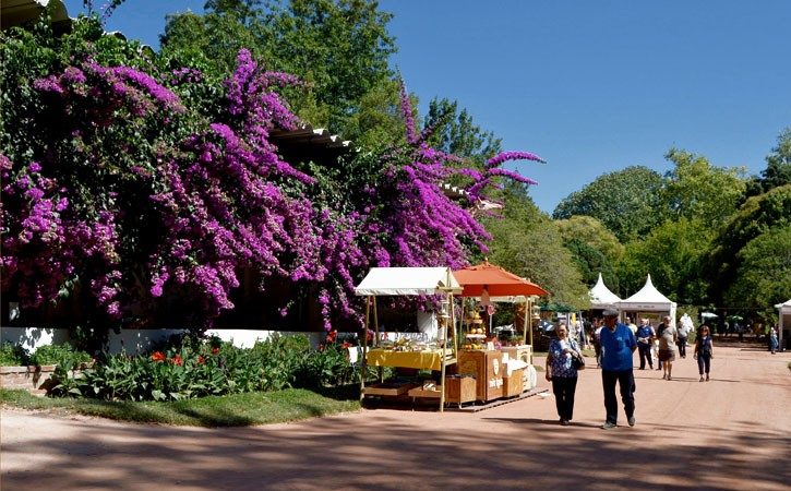 Caldas da Rainha Food Tour