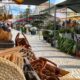 Praça da Fruta, the daily market of Caldas da Rainha