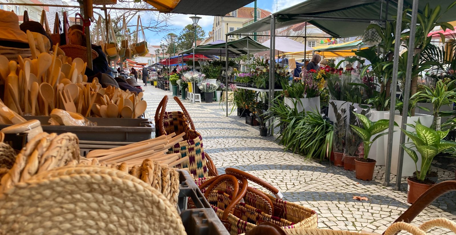 Praça da Fruta, the daily market of Caldas da Rainha