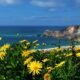 Panoramic view of the town of Nazaré