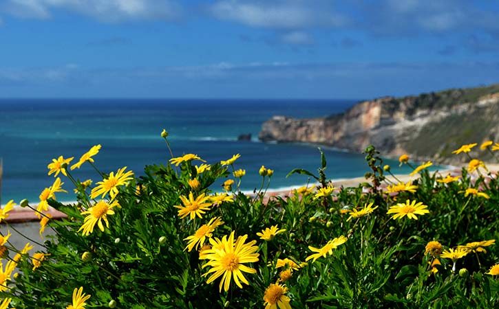 Panoramic view of the town of Nazaré